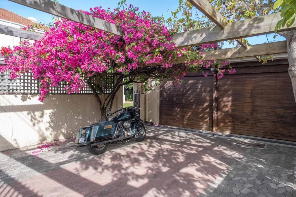 Spacious In Rondebosch Holiday home *